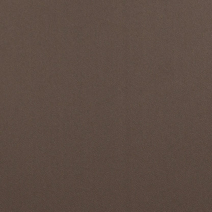 25039261